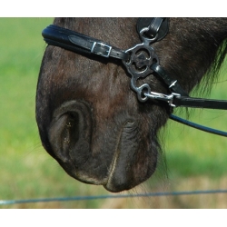 Calli Love Hackamore Bitless Noseband